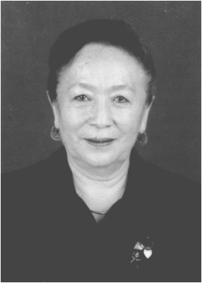 阿提克姆·则米尔