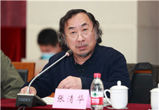 北京师范大学文学院教授张清华