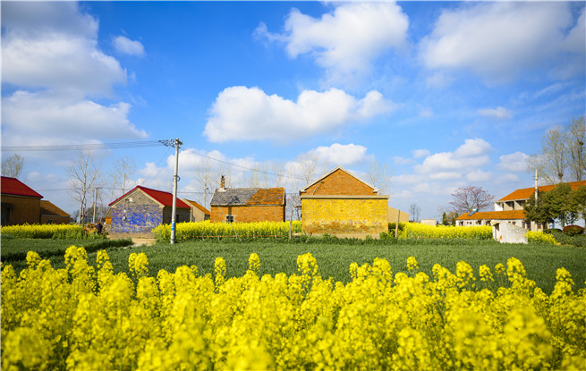 吴义勤：创造新乡土文学精品力作