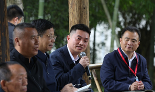 清溪村党总支书记蔡真发言