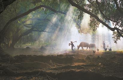 只有真正贴近乡土现实,才能写出好的乡土文学。 视觉中国供图