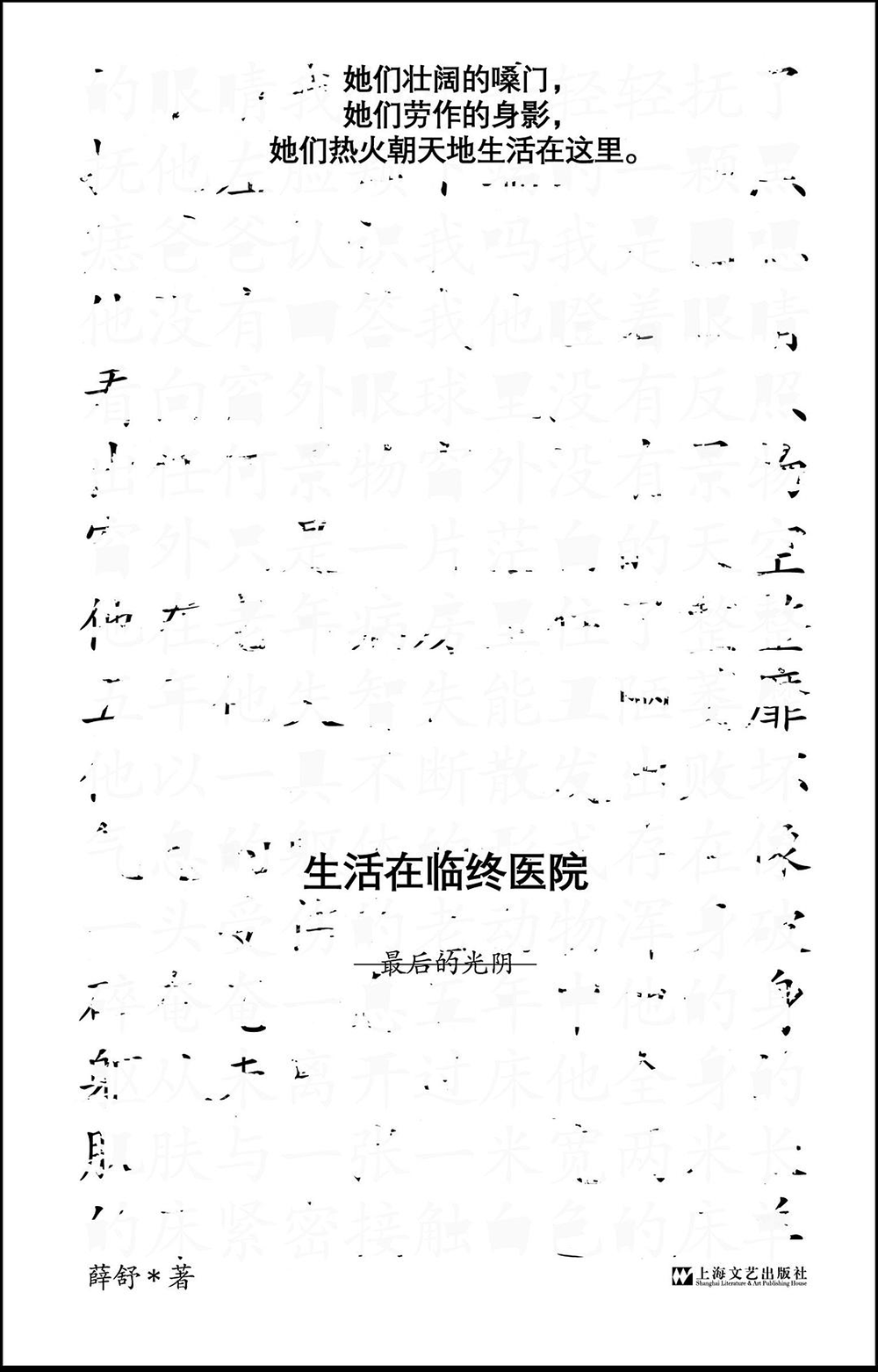 《生活在临终医院:最后的光阴》