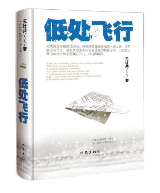 《低处飞行》 王计兵 著 作家出版社