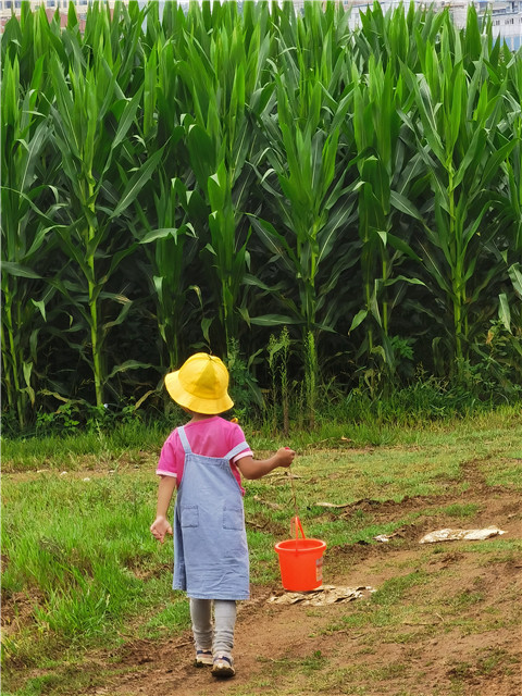 孩子们的背影。刘雪韬周末经常和爱人一同陪伴孩子去他们喜欢的地方骑车、玩耍。对他们来说，相聚的时光远比一些热闹的应酬重要。