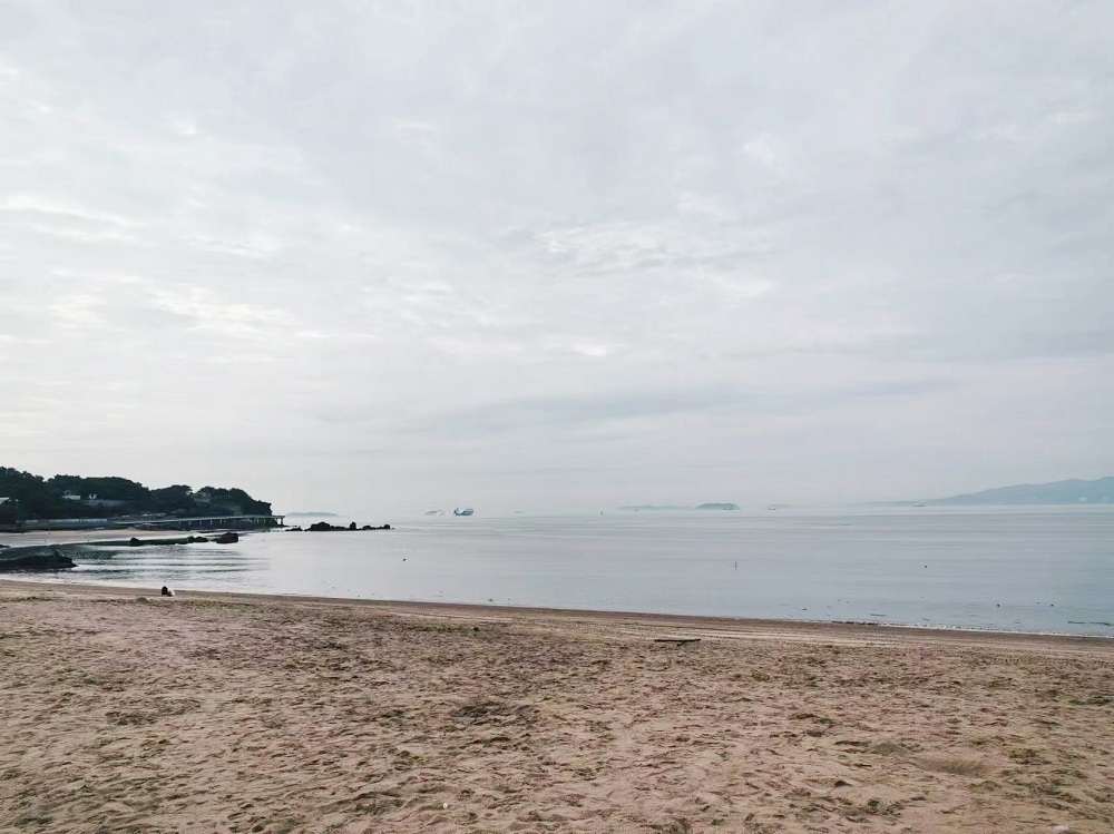 子尘喜欢在海边走一走,这片海滩离他家很近,十分钟左右就能