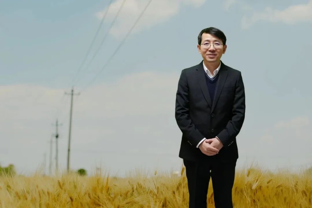 罗长青，男，1981年生，湖南衡阳人；博士毕业于南京大学，曾在复旦大学中国语言文学博士后流动站从事博士后研究，曾任贵州师范大学文学院教授，博士研究生导师；现为广东外语外贸大学中国语言文化学院教授；主要从事中国当代文学与文化现象研究。