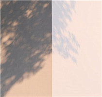 也谈王冬龄的“乱书”