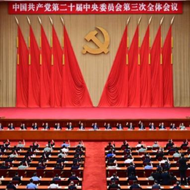 学习贯彻党的二十届三中全会精神