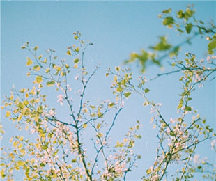 谈文创设计中的情感导向：传递文化情感和情绪价值