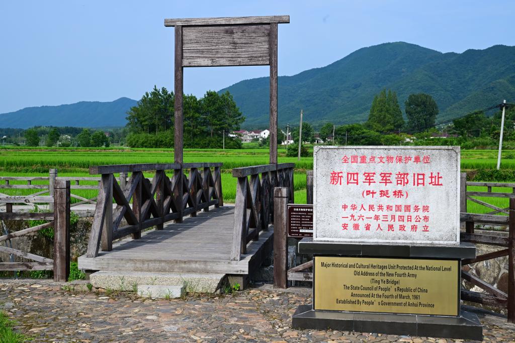 https://www.news.cn/local/20250814/79e59a6b642a449eb25575b71e775aab/2025081479e59a6b642a449eb25575b71e775aab_376f2a7d67cf46a28603c06862c5b5b2.jpg