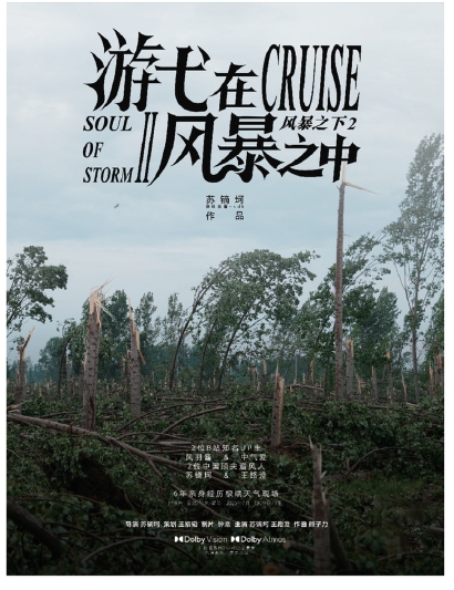 《游弋在风暴之中》海报