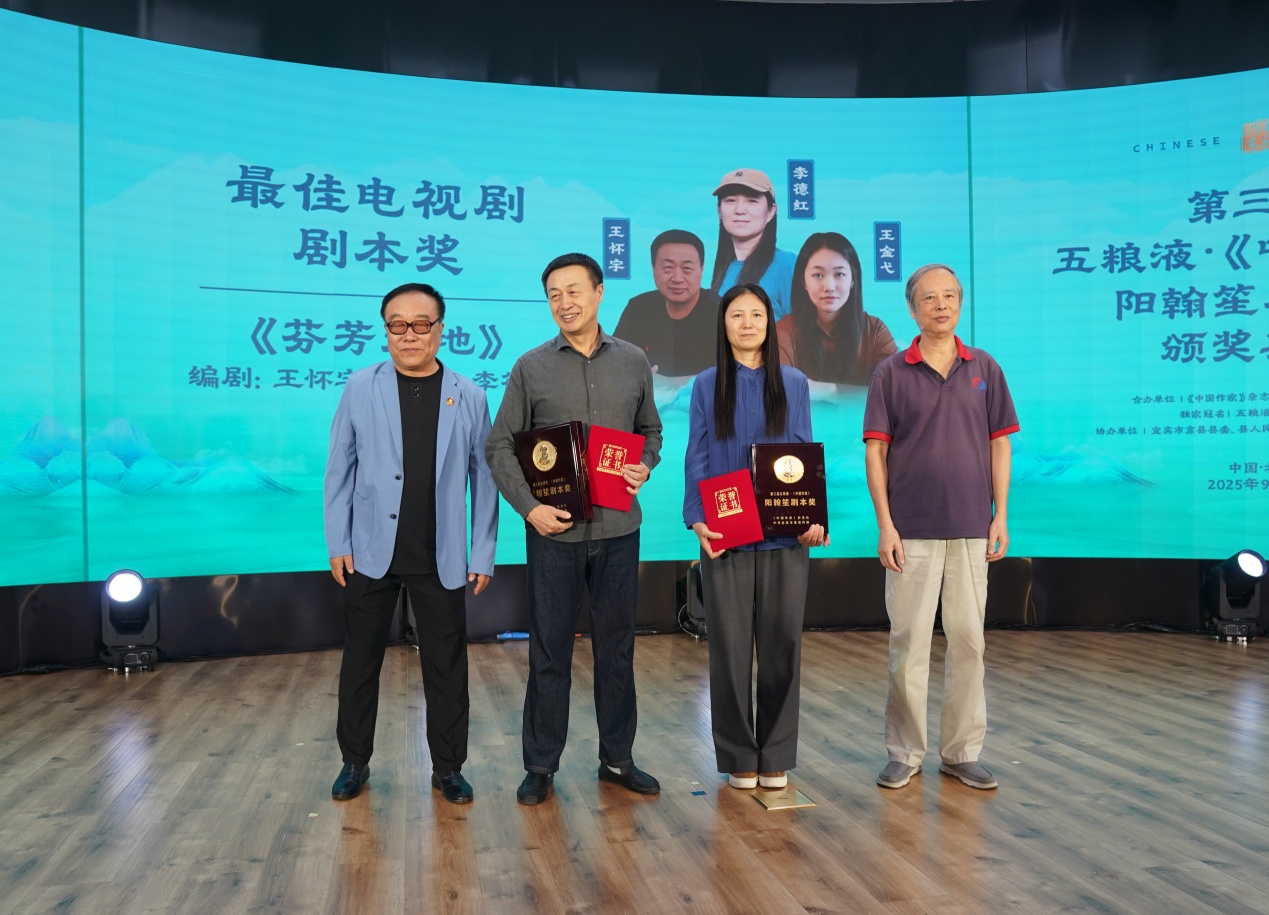 最佳电视剧剧本奖颁奖现场