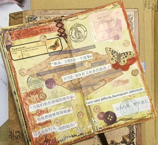 阅读摘抄手账，来源：读者“朝夕昭奚”微博