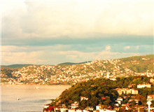 我的散文的生命力来自于田野调查　　蟋蟀叫着，兮兮兮。月影上来了，印在窗户上，如一朵洁白的窗花。[详细]