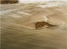 “抵抗遗忘”是对写作者的最高要求　　对傅菲而言，“元”是周而复始之始，代表初心，“灯”乃光明之源……[详细]