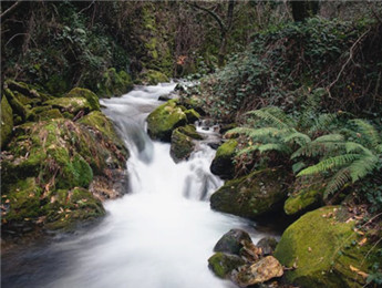 在自然的诗行里，我们都是蹩脚的读者……