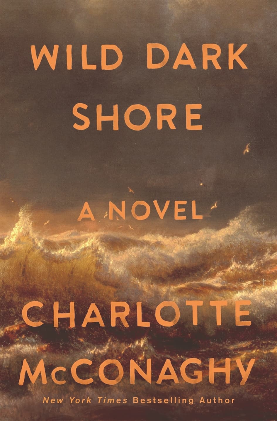 《野性黑暗海岸》 夏洛特·麦康纳吉 著