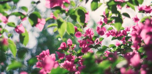 网络文学的现实性与现实意义