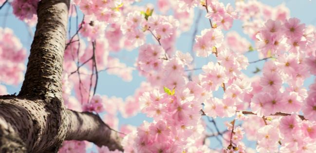 网文独家 | 2025我们的网文故事：永远鲜活，没有天花板