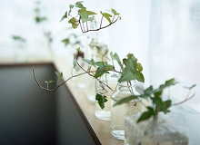 朱强：多余的素材在桥边的阳光里等车，嫩黄的太阳在宝石蓝的天空中形同虚设，好像是纸糊的。一刻钟后，车终于来了。[详细]