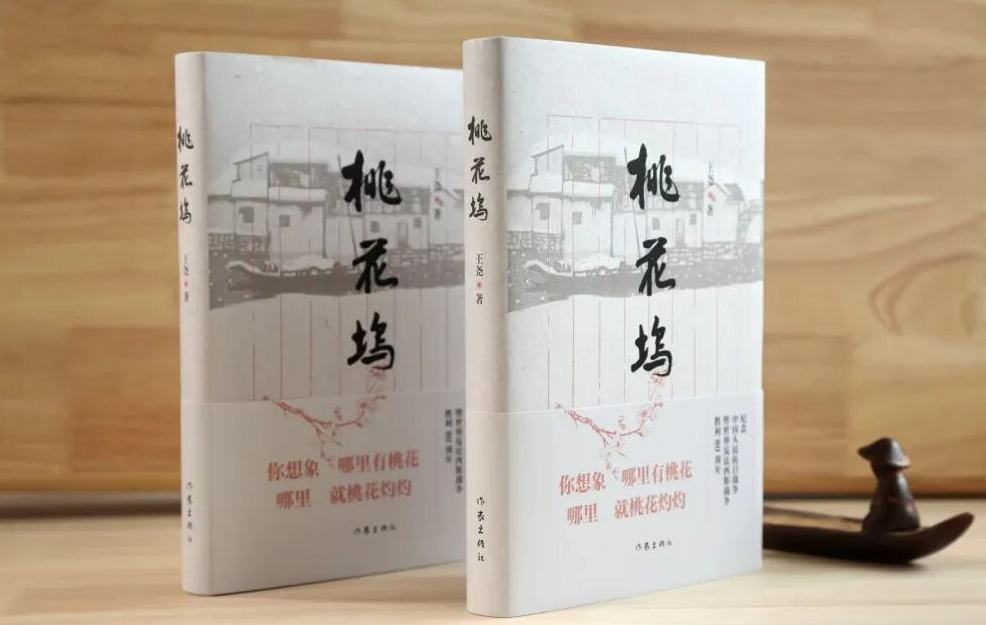 “行进的风景”第44期：王尧《桃花坞》